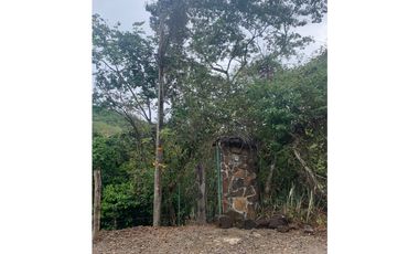 VENTA DE TERRENO DE 60 HECTARIAS EN VERAGUAS