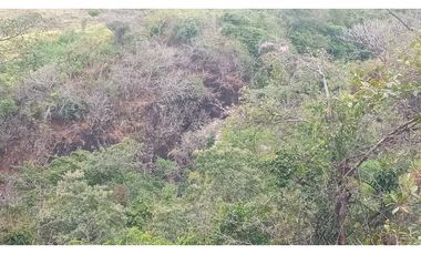 VENTA DE TERRENO DE 60 HECTARIAS EN VERAGUAS