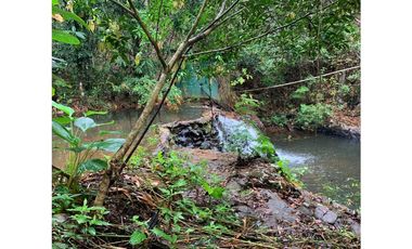 VENTA DE TERRENO DE 60 HECTARIAS EN VERAGUAS
