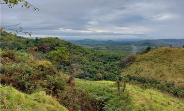 VENTA DE TERRENO DE 60 HECTARIAS EN VERAGUAS