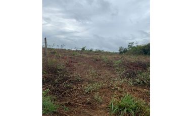 VENTA DE TERRENO DE 60 HECTARIAS EN VERAGUAS