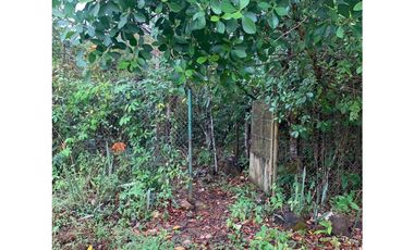 VENTA DE TERRENO DE 60 HECTARIAS EN VERAGUAS