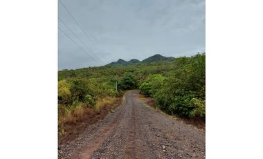 VENTA DE TERRENO DE 60 HECTARIAS EN VERAGUAS
