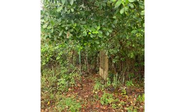 VENTA DE TERRENO DE 60 HECTARIAS EN VERAGUAS