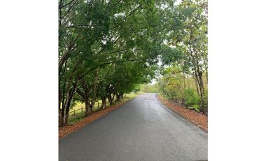 VENTA DE TERRENO DE 60 HECTARIAS EN VERAGUAS