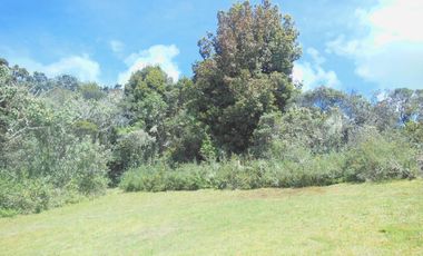 lote en venta en altos de potosí. Cod V7328019
