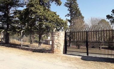 CHALET AMPLIO CON GRAN PARQUE. PISCINA. CANCHA DE PADLE. 4 DORMITORIOS