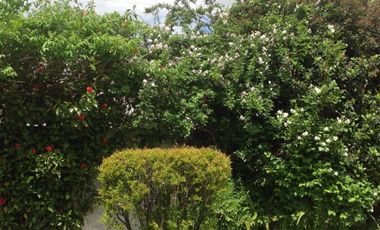 Casa en venta Temperley