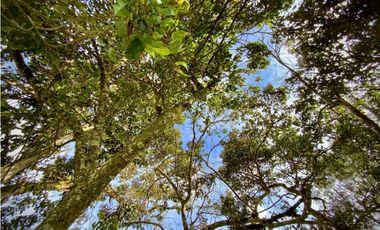 Lote Parcelacion Via San Antonio La Ceja (Carmen de Viboral)