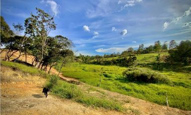 Lote Parcelacion Via San Antonio La Ceja (Carmen de Viboral)