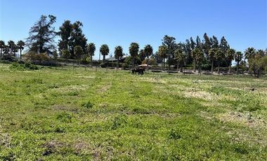 Parcela en venta en Melipilla