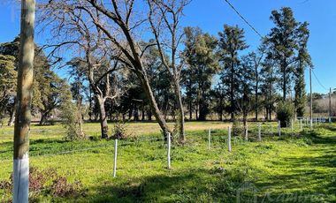 Lote Terreno  En Venta 1200 m2 - Parques del Morenito, Moreno Norte