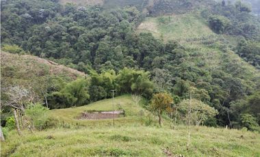 SE VENDE FINCA EN DOSQUEBRADAS EXCELENTE VISTA