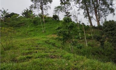 SE VENDE FINCA EN DOSQUEBRADAS EXCELENTE VISTA