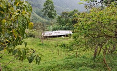 SE VENDE FINCA EN DOSQUEBRADAS EXCELENTE VISTA