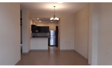 ALQUILER APARTAMENTO CASCO ANTIGUO