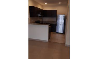 ALQUILER APARTAMENTO CASCO ANTIGUO