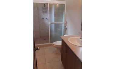 ALQUILER APARTAMENTO CASCO ANTIGUO