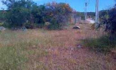 PARCELA ECOLOGICA UN PARAISO CON HERMOSA VISTA