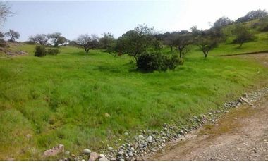 PARCELA ECOLOGICA UN PARAISO CON HERMOSA VISTA