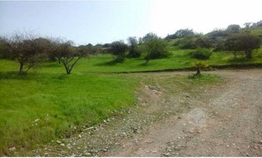 PARCELA ECOLOGICA UN PARAISO CON HERMOSA VISTA