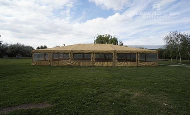 FERNANDEZ POEPPEL Vende Quinta 1,8 Ha. Coquimbito Maipu