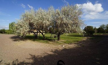 FERNANDEZ POEPPEL Vende Quinta 1,8 Ha. Coquimbito Maipu