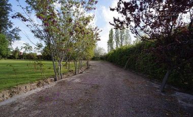 FERNANDEZ POEPPEL Vende Quinta 1,8 Ha. Coquimbito Maipu