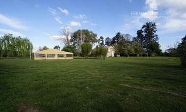 FERNANDEZ POEPPEL Vende Quinta 1,8 Ha. Coquimbito Maipu