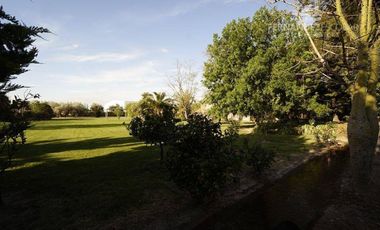 FERNANDEZ POEPPEL Vende Quinta 1,8 Ha. Coquimbito Maipu