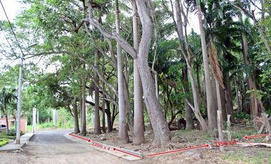 lote en venta en bocono. Cod V1115