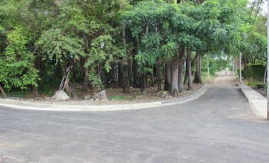 lote en venta en bocono. Cod V1115