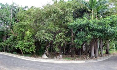 lote en venta en bocono. Cod V1115