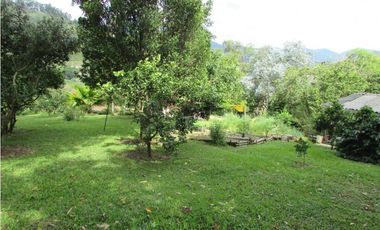 Finca  caldas Suroeste Antioqueño