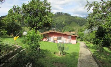 Finca  caldas Suroeste Antioqueño