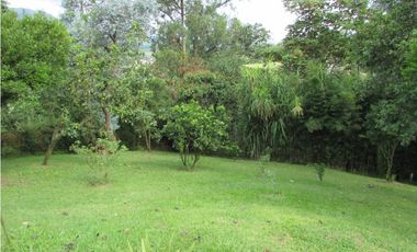 Finca  caldas Suroeste Antioqueño
