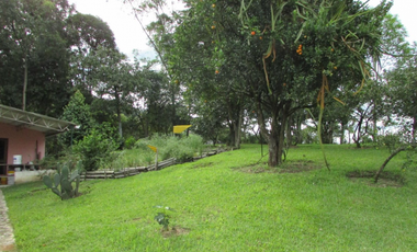 Finca  caldas Suroeste Antioqueño
