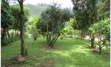 Finca  caldas Suroeste Antioqueño