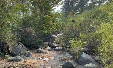 Agrícola en Venta en Bajos del rio Longavi