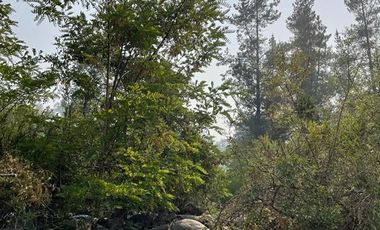 Agrícola en Venta en Bajos del rio Longavi