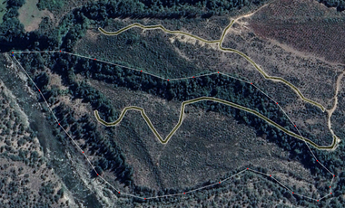 Agrícola en Venta en Bajos del rio Longavi