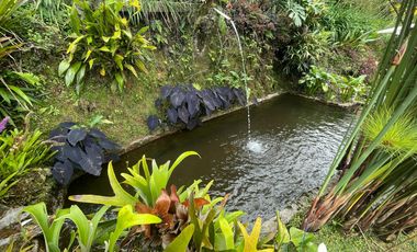 finca en arriendo/venta en dapa parcelación hacienda los morales. Cod V107562