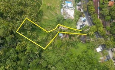 Land for lease close to Goa Gajah, Ubud