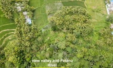 Land for lease close to Goa Gajah, Ubud