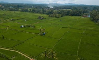 Land for lease close to Goa Gajah, Ubud