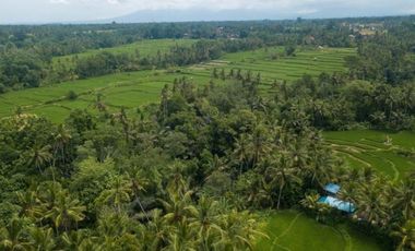 Land for lease close to Goa Gajah, Ubud