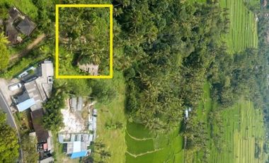 Land for lease close to Goa Gajah, Ubud