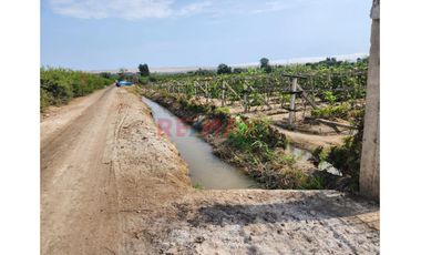Terreno Agricola En Produccion De Uva En La Zona De Cuiva, Valle De Cañete– Agua Todo El Año