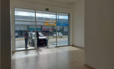 LOCALES EN ALQUILER AVENIDA DOMINGO DIAZ