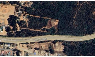 CURAUMA / CAMINO LA POLVORA / 10.400 M2